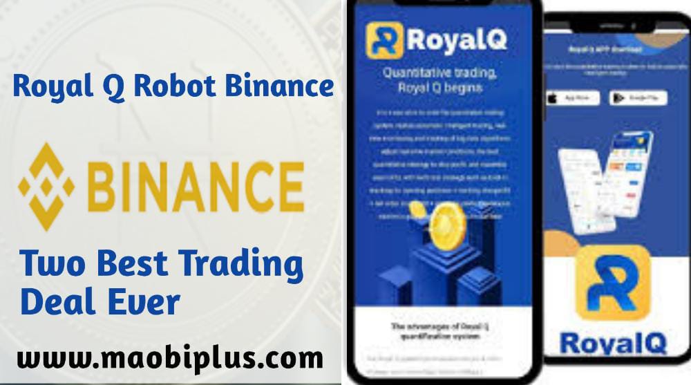 Royal Q Robot Binance: Best Trading Deal Ever