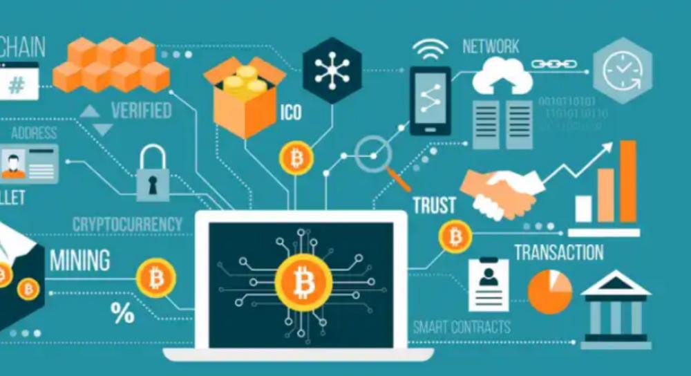 different cryptocurrency niches