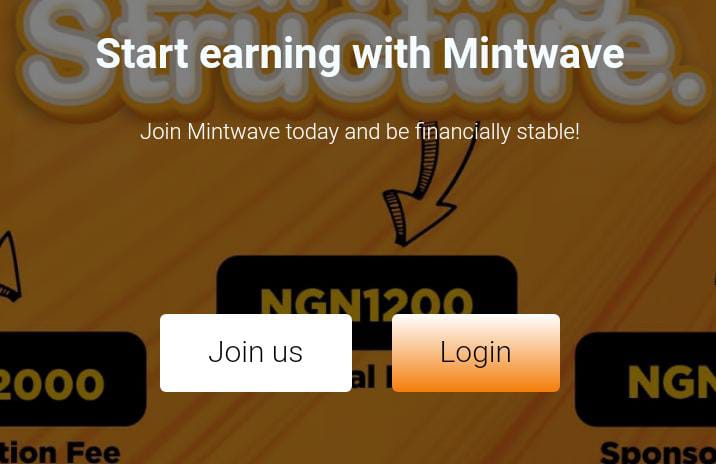 Mintwave.com.ng reviews