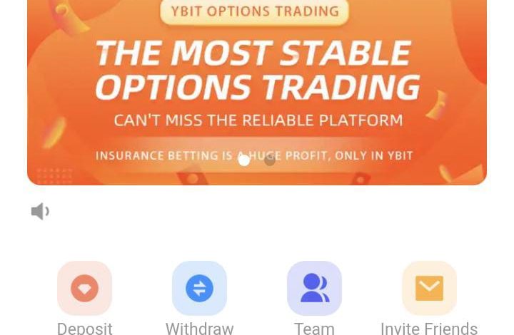 YBIT.vip review